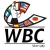 Полутяжёлый вес мужчины WBC Silver/WBA Title