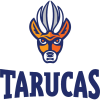 Tarucas