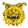 Ilves