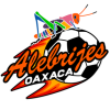 Alebrijes Oaxaca