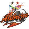 Alebrijes Oaxaca