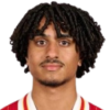 Karim Hamed