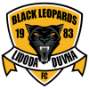 Black Leopards -21