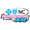 Drive for the Cure 300