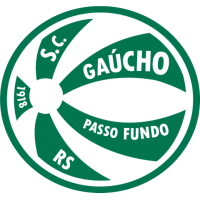 Buy Campeonato Gaucho Book Online at Low Prices in India