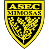 ASEC Mimosas B19