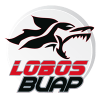 Lobos BUAP 2