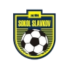 Sokol Slavkov