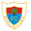 Bergantinos D