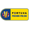 Fortuna Puchar Polski