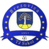 Brezovica