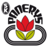 Panerys