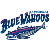Pensacola Blue Wahoos