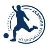 Liga Regionalna Południowo-zachodnia