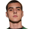 Ili Ziberi