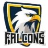 Falcons