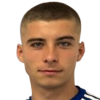 Dragan Trninic