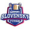 Piala Slovakia