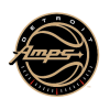 Detroit Amps