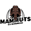 Schongau