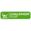Salzburgas Challenger Vyrai