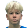 Viljami Valkealahti