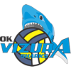 Vizura W