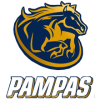 Pampas XV