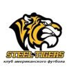 Perm Steel Tigers