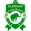 Elephant Coleah