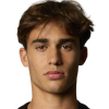 Lucas Taibo Dominguez