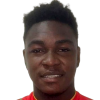 Anthony Nibiri Martinez