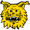 Tampereen Ilves F