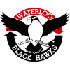 waterloo blackhawks hockey song｜TikTok Search