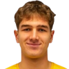 Niko Osterc
