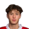 Virgile Gauffriau