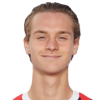 Maximilian Ibrahimovic