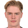 Birk Hjelmas
