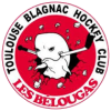 Toulouse-Blagnac