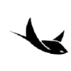 Sting Rays