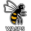 Wasps W