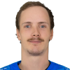 Erik Ahopelto