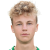 Gregon Henrik Raud