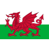 Wales U16 W