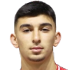 Arda Isik
