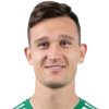 Daniel Stefulj