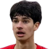 Luka Didulica
