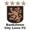 Bankstown City Lions D