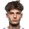 Niko Grlic
