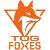 TeamOrangeGaming